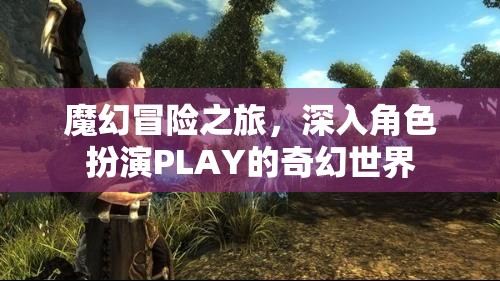 魔幻冒險(xiǎn)之旅，深入角色扮演PLAY的奇幻世界