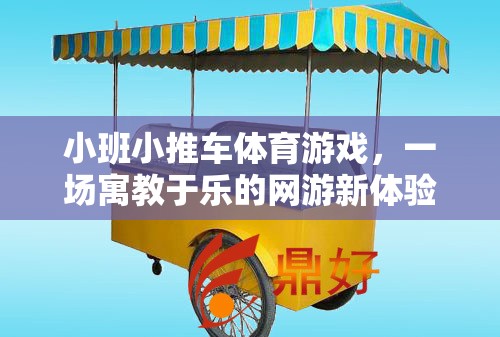 小班小推車體育游戲，一場寓教于樂的網(wǎng)游新體驗