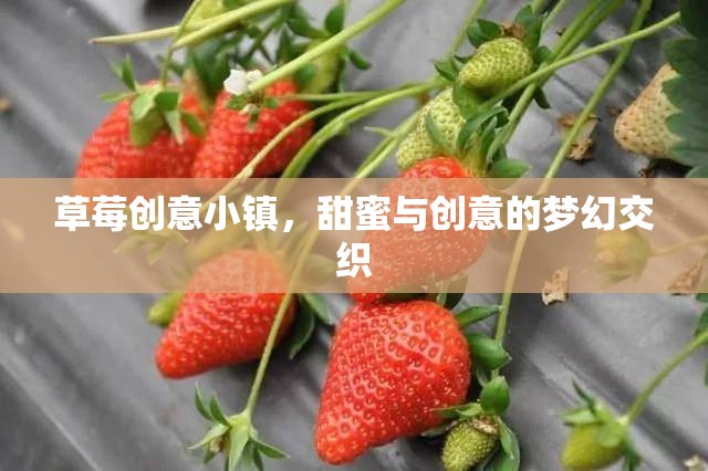 草莓創(chuàng)意小鎮(zhèn)，甜蜜與創(chuàng)意的夢幻交織