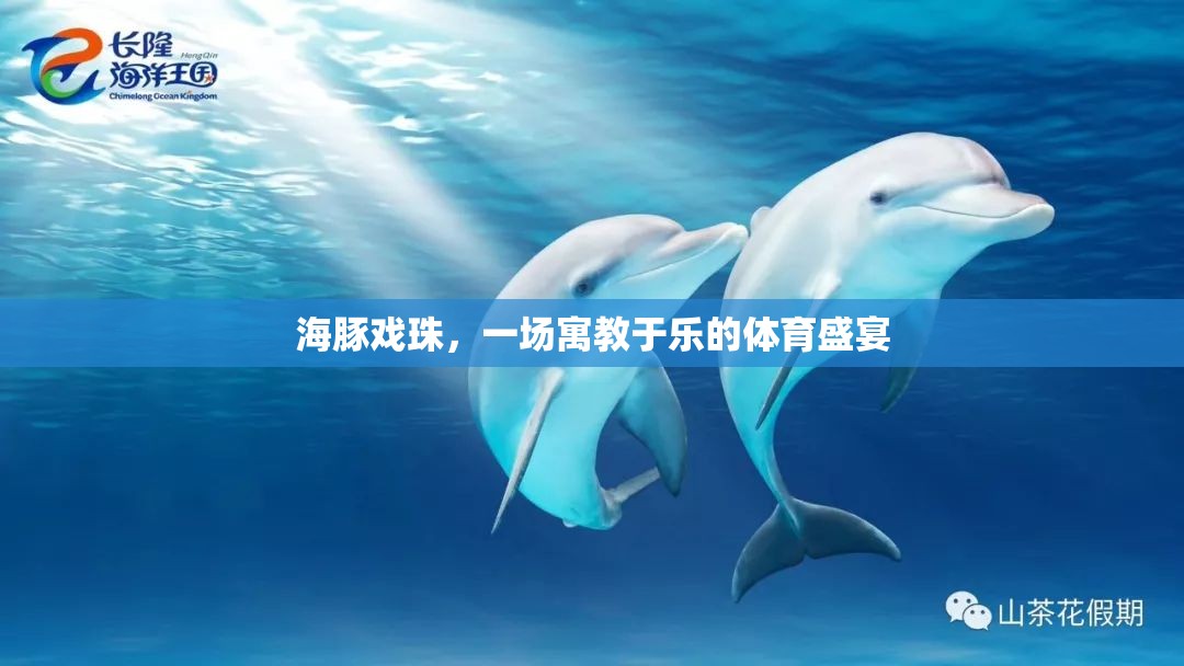 海豚戲珠，一場寓教于樂的體育盛宴