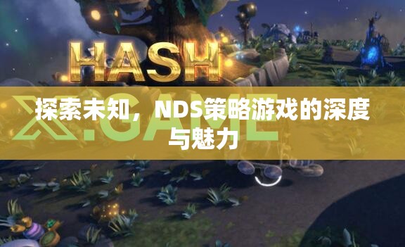 探索未知，NDS策略游戲的深度與魅力