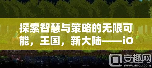 智慧與策略的王國(guó)新大陸，iOS上不容錯(cuò)過(guò)的策略游戲大作