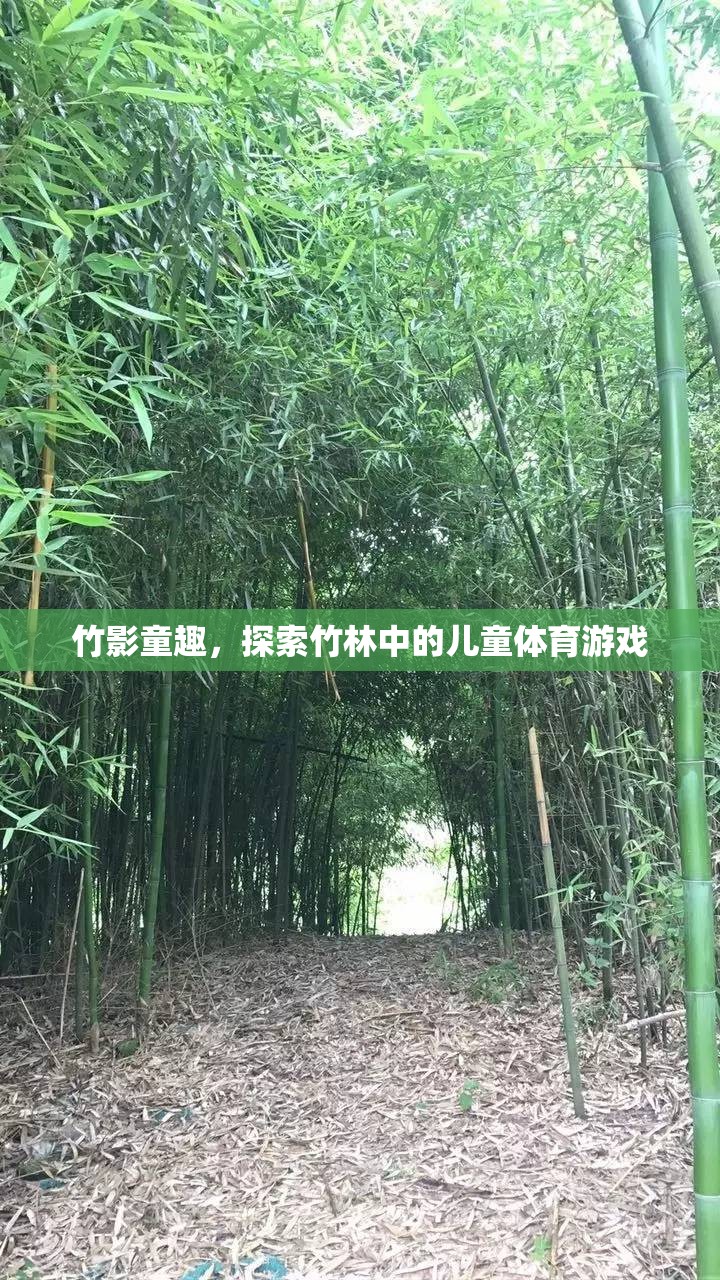 竹影童趣，探索竹林中的兒童體育游戲