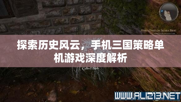 手機三國策略單機游戲，深度解析歷史風(fēng)云中的策略與智慧