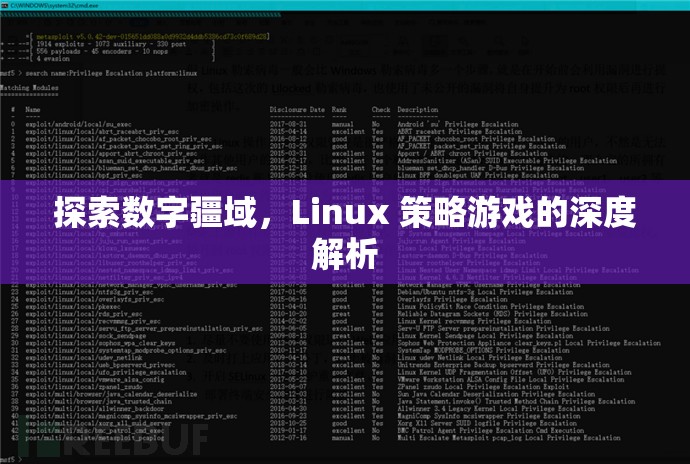 探索數(shù)字疆域，Linux策略游戲的深度解析