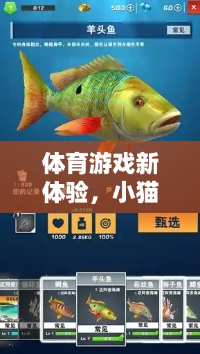 解鎖體育游戲新體驗，小貓曬魚玩法全面解析