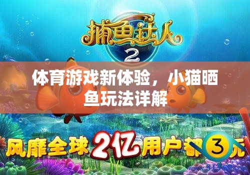 解鎖體育游戲新體驗，小貓曬魚玩法全面解析