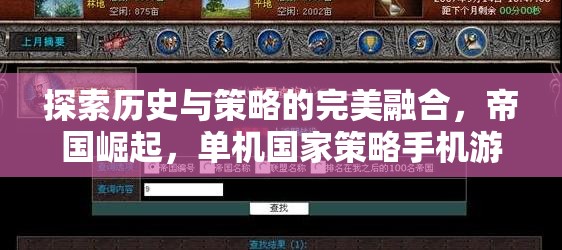 帝國(guó)崛起，歷史與策略的完美融合——一款單機(jī)國(guó)家策略手機(jī)游戲的深度解析