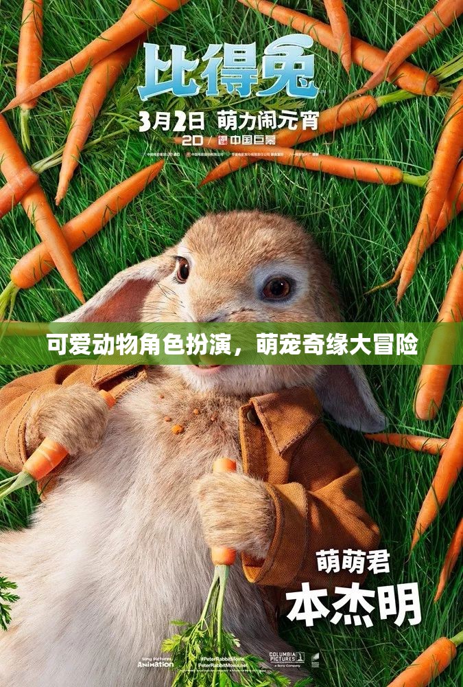 萌寵奇緣，可愛動物角色大冒險