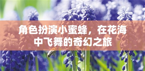 小蜜蜂的奇幻花海之旅，在花間翩翩起舞的夢(mèng)幻冒險(xiǎn)