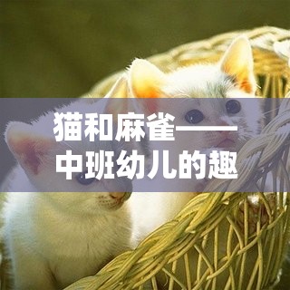 貓捉麻雀——中班幼兒趣味體育游戲