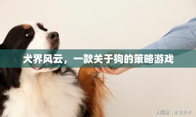 犬界風云，策略與愛交織的狗狗王國