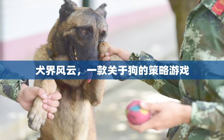 犬界風云，策略與愛交織的狗狗王國