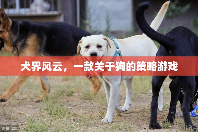 犬界風云，策略與愛交織的狗狗王國