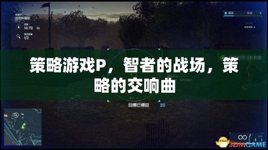 智者的戰(zhàn)場，策略游戲P的交響曲