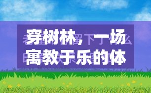 寓教于樂，穿樹林體育游戲的教學(xué)反思與啟示