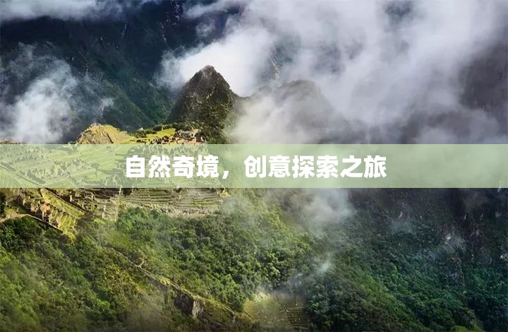 自然奇境，一場創(chuàng)意探索的非凡之旅