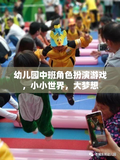 小小世界，大夢(mèng)想——幼兒園中班角色扮演游戲探索