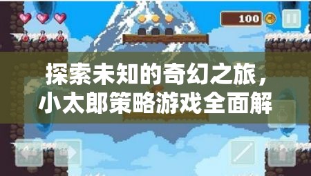 小太郎策略游戲，一場探索未知的奇幻之旅全面解析