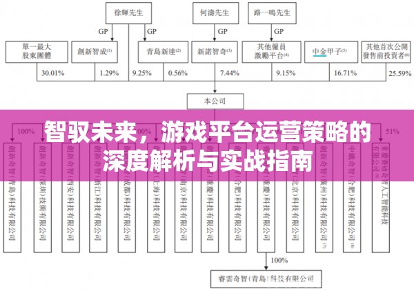 智馭未來，游戲平臺(tái)運(yùn)營策略的深度解析與實(shí)戰(zhàn)指南