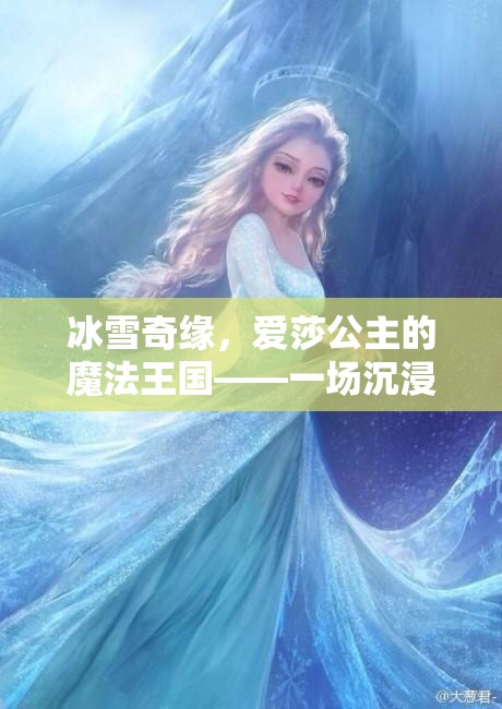 冰雪奇緣，愛莎公主的魔法王國——一場沉浸式的角色扮演游戲之旅