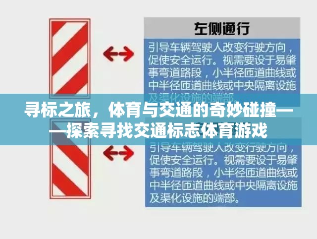 尋標(biāo)之旅，體育與交通的奇妙碰撞——探索尋找交通標(biāo)志體育游戲