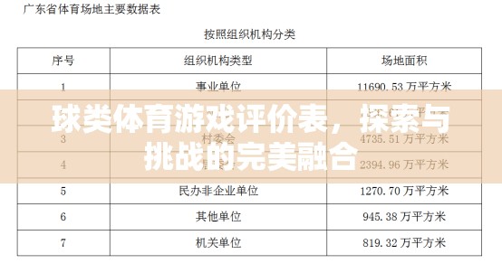 探索與挑戰(zhàn)，球類體育游戲的完美融合評(píng)價(jià)