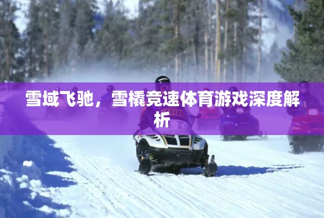 雪域飛馳，深度解析雪橇競速體育游戲的魅力與挑戰(zhàn)