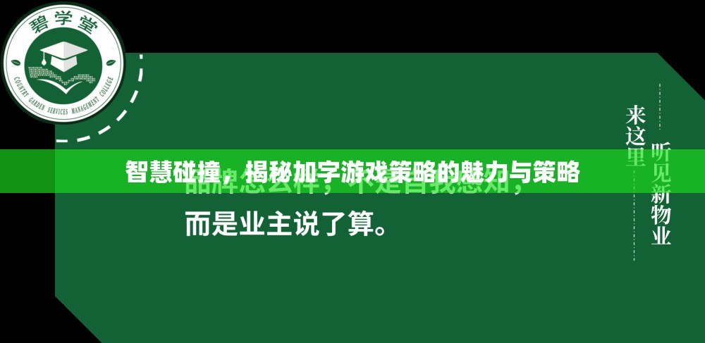 智慧碰撞，揭秘加字游戲策略的魅力與策略