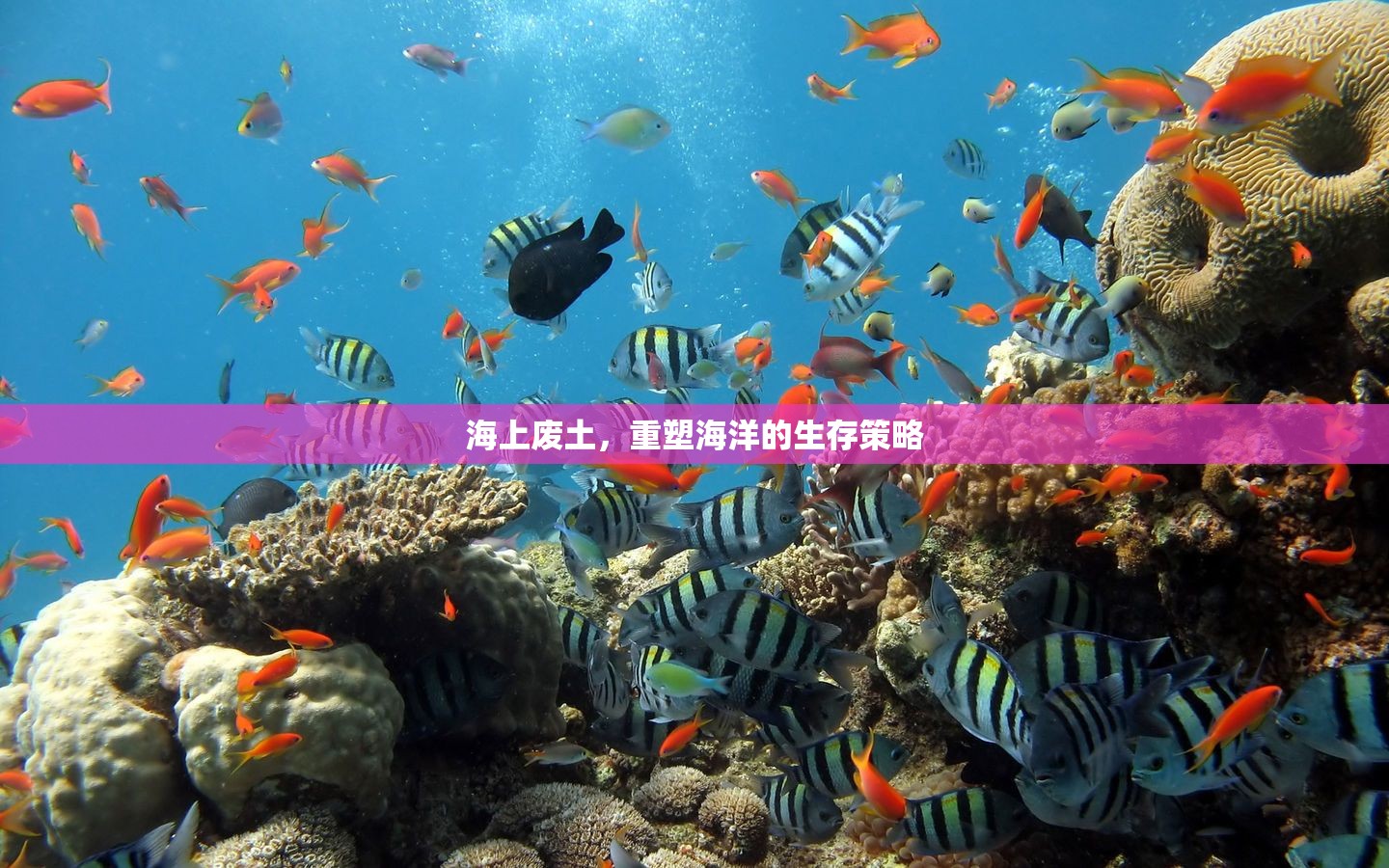 重塑海洋，海上廢土的生存策略