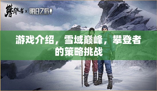 雪域巔峰，攀登者的策略挑戰(zhàn)