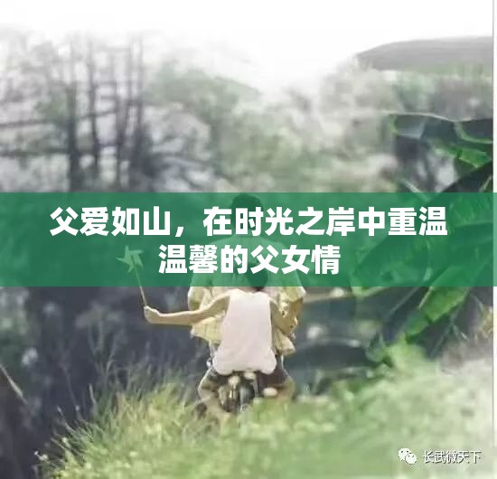 時(shí)光之岸的溫馨回憶，父愛(ài)如山的深情篇章