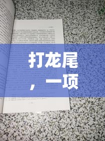 傳統(tǒng)與現(xiàn)代交融，探索‘打龍尾’體育游戲的魅力