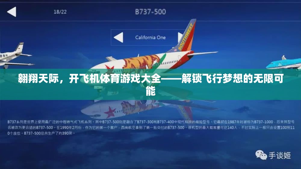 解鎖飛行夢(mèng)想，翱翔天際的飛機(jī)體育游戲大全