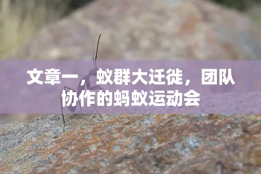 蟻群大遷徙，團(tuán)隊(duì)協(xié)作的奇妙運(yùn)動(dòng)會(huì)