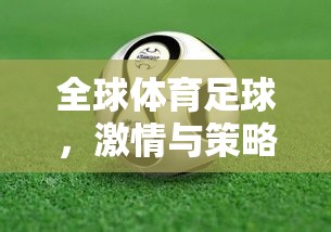 數(shù)字綠茵場，全球體育足球的激情與策略并進