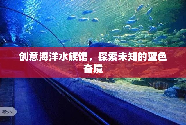 藍色奇境，創(chuàng)意海洋水族館的探索之旅