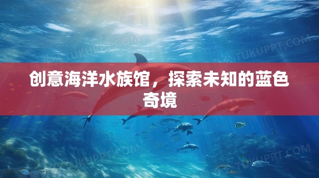 藍色奇境，創(chuàng)意海洋水族館的探索之旅