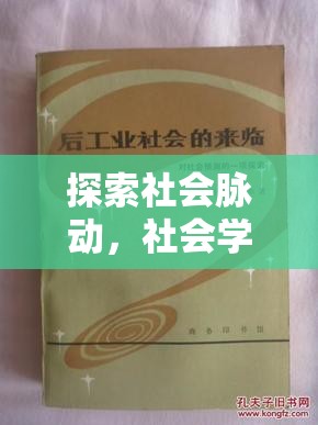 社會(huì)棱鏡，探索與角色扮演——社會(huì)學(xué)在互動(dòng)游戲中的實(shí)踐與啟示