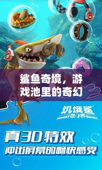 鯊魚奇境，游戲池中的奇幻冒險之旅