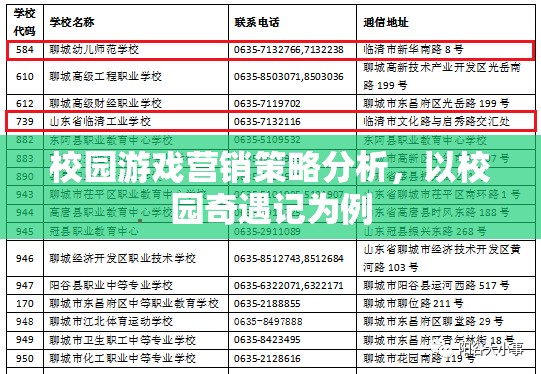 校園奇遇記，游戲營(yíng)銷策略的深度剖析