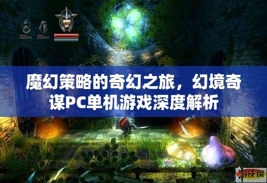 魔幻策略的奇幻之旅，幻境奇謀PC單機(jī)游戲深度解析