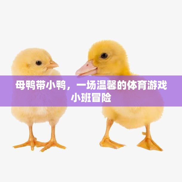 母鴨小隊，溫馨的體育游戲小班冒險