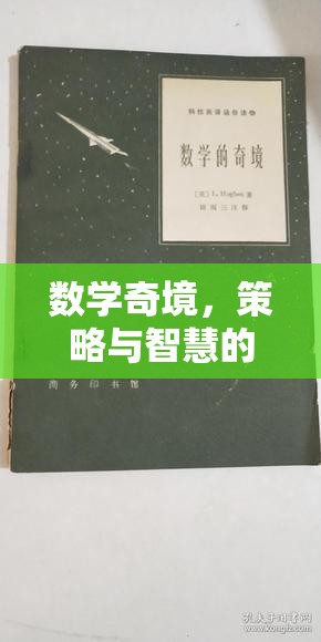 數(shù)學奇境，策略與智慧的交響樂章——探索數(shù)界風云