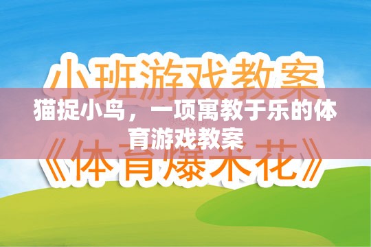 寓教于樂(lè)，貓捉小鳥(niǎo)體育游戲教案