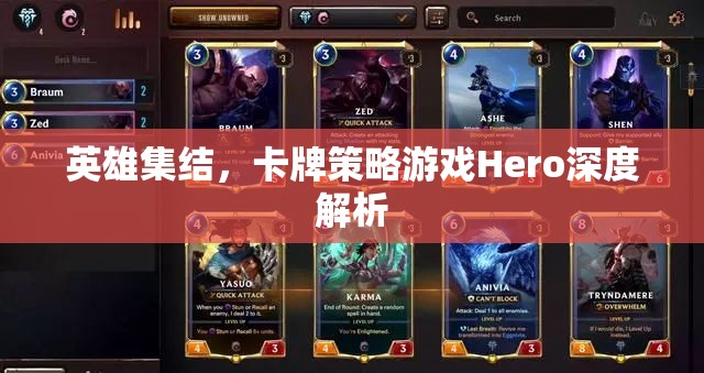 英雄集結(jié)，深度解析卡牌策略游戲Hero