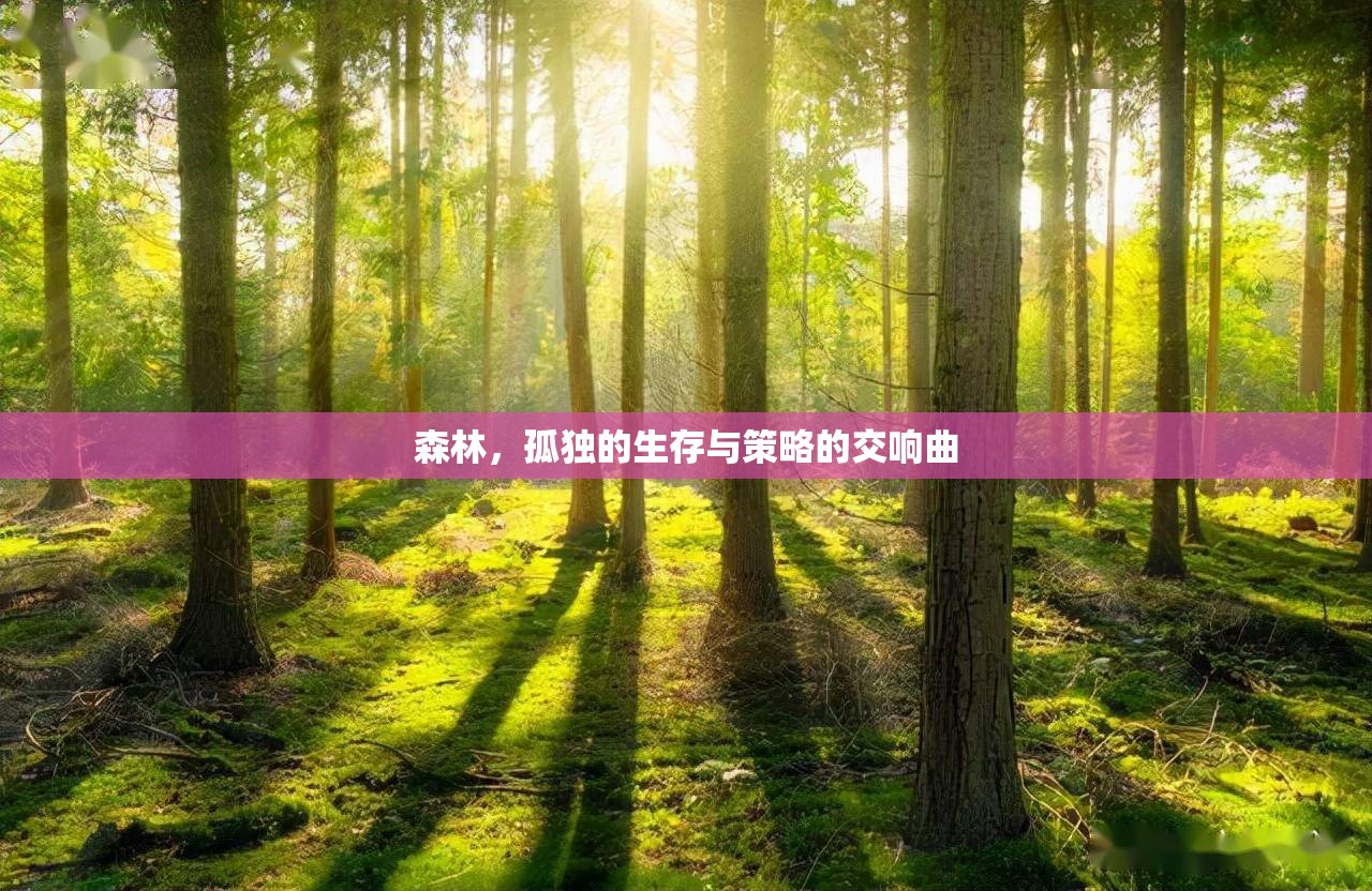 森林，孤獨生存與策略的交響曲