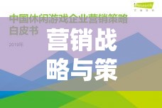 商海奇謀，數(shù)字疆域中的營銷戰(zhàn)略與策略游戲