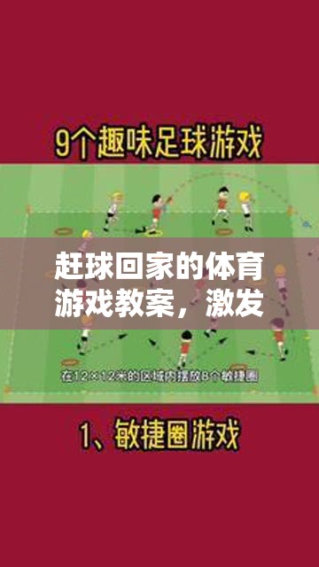 趕球回家，激發(fā)團隊與個人技能完美融合的體育游戲教案