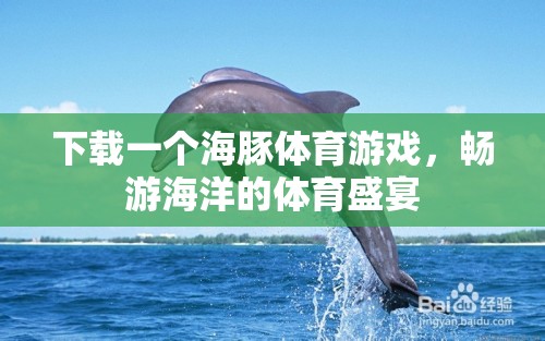 海豚體育游戲，暢游海洋的體育盛宴